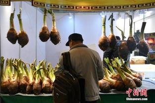 商务部最新数据 上周食用农产品与生产资料价格双双回落